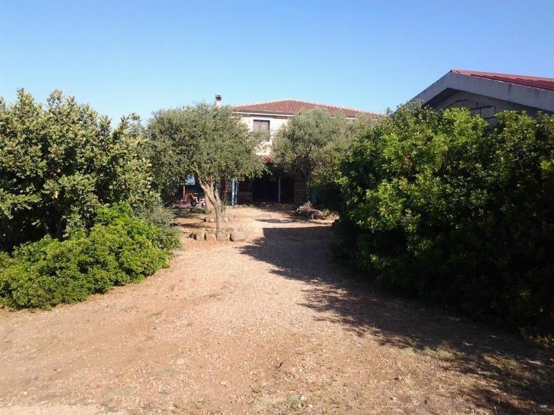 Agriturismo Sa Murta In Sennariolo-Oristano Екстер'єр фото