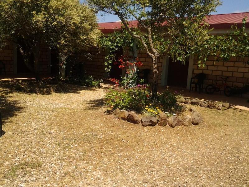 Agriturismo Sa Murta In Sennariolo-Oristano Екстер'єр фото