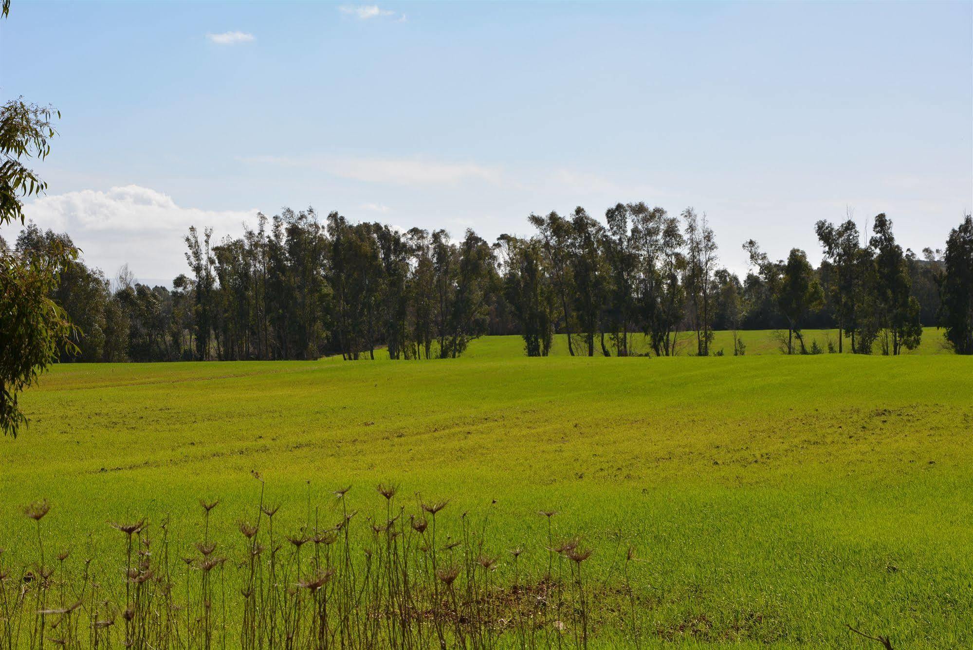 Agriturismo Sa Murta In Sennariolo-Oristano Екстер'єр фото